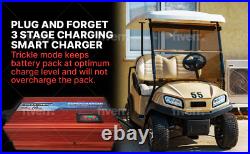 EZGO 10 AMP RXV & TXT Golf Cart Battery Charger LED DISPLAY 48V Open Box EZGO 10 AMP RXV & TXT Golf Cart Battery Charger LED DISPLAY 48V Open Box